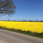 - Kiekut 11 Kappeln