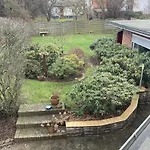 - Kiekut 11 *