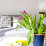 - Kiekut 11 Apartament