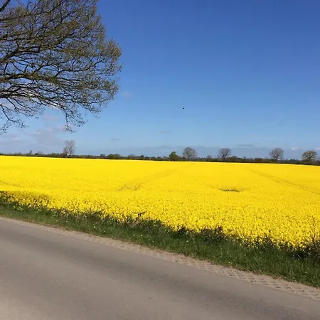 - Kiekut 11 Kappeln
