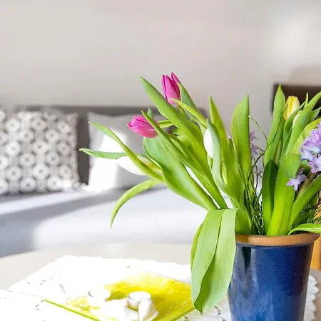 - Kiekut 11 Apartamento